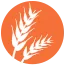 Gluten