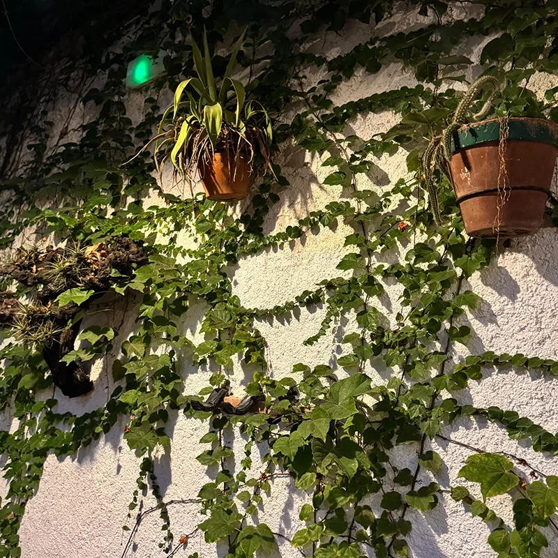 Rincón de La Osteria, imagen 4